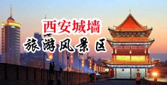 丹麦女优性交视频中国陕西-西安城墙旅游风景区